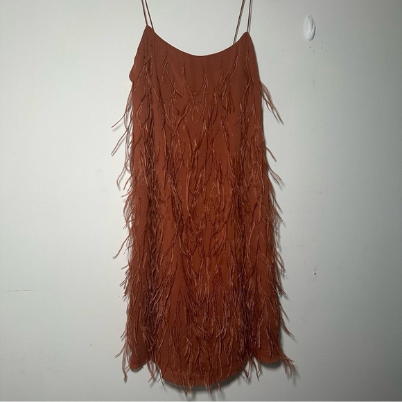 Rebecca Taylor Copper Silk Ostrich Feather Slip Dress Size 8 - Picture 9 of 17